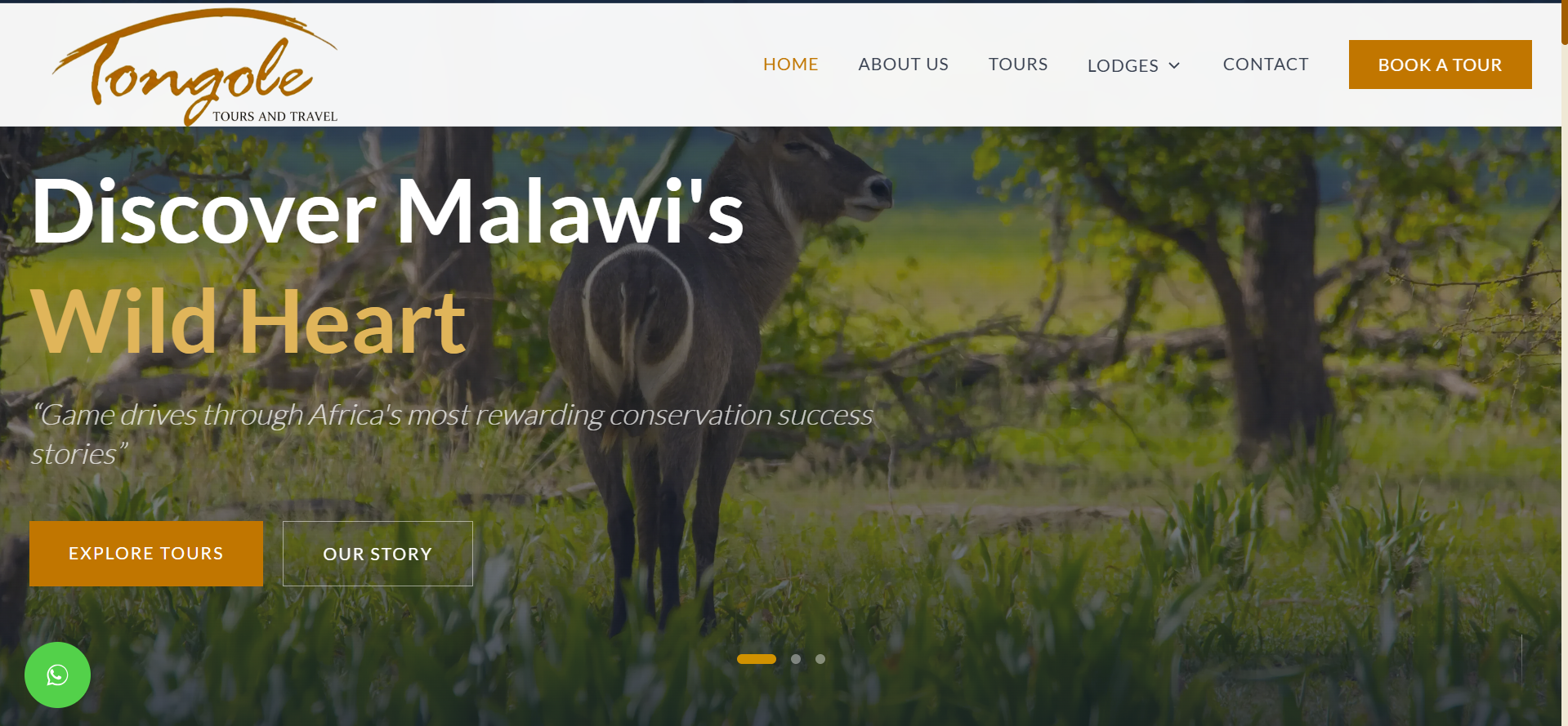 Tongole Tours & Travel project image