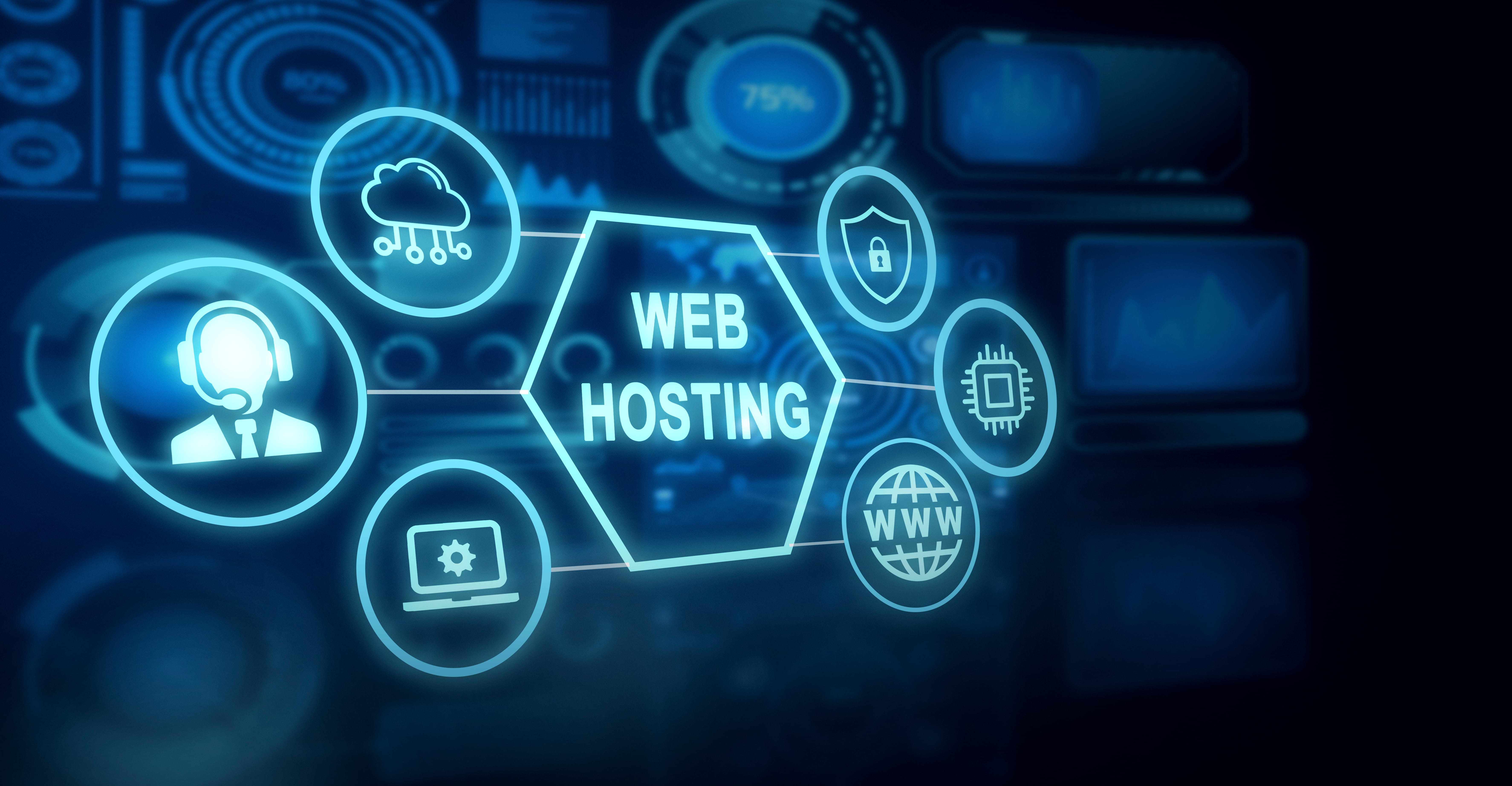 Web hosting services image